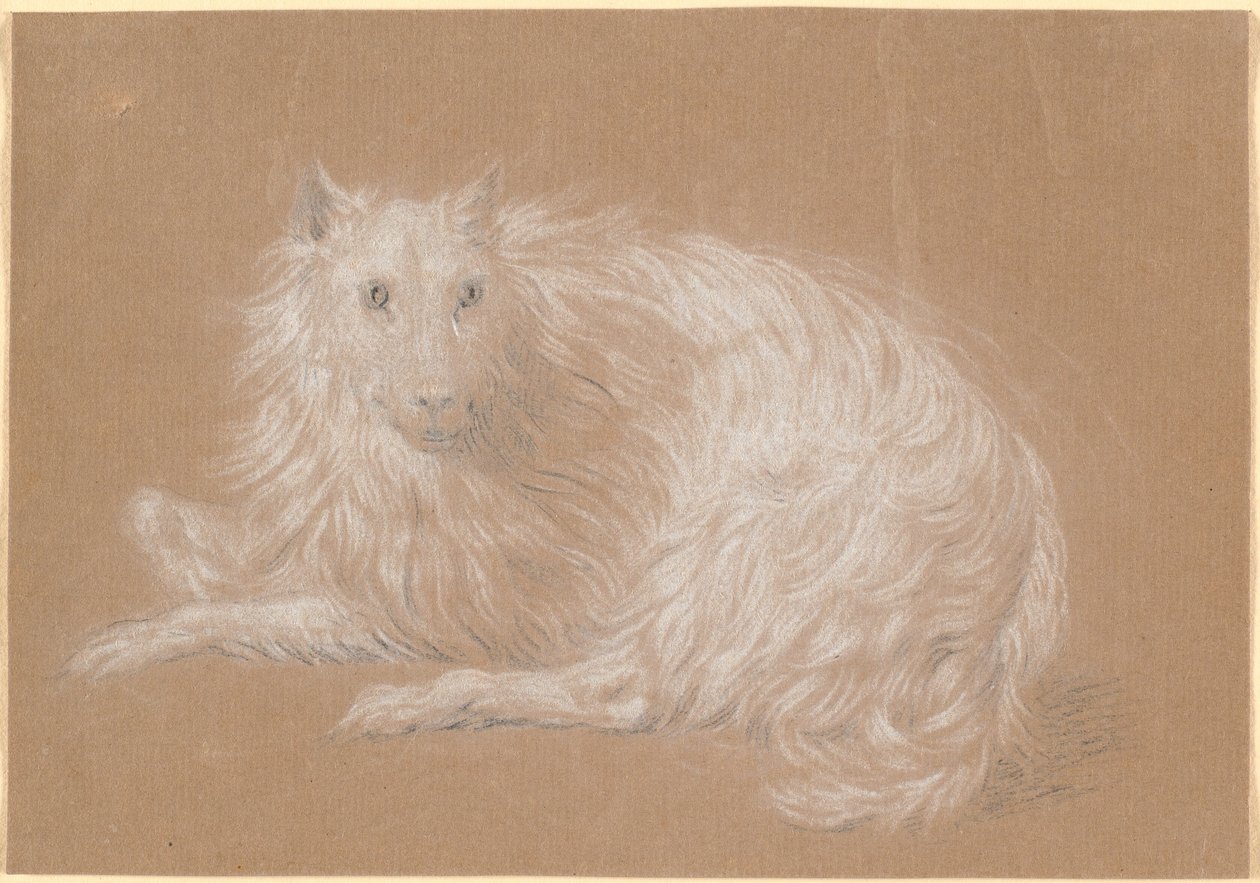 En liggende langhåret hund af Nicolai Abildgaard