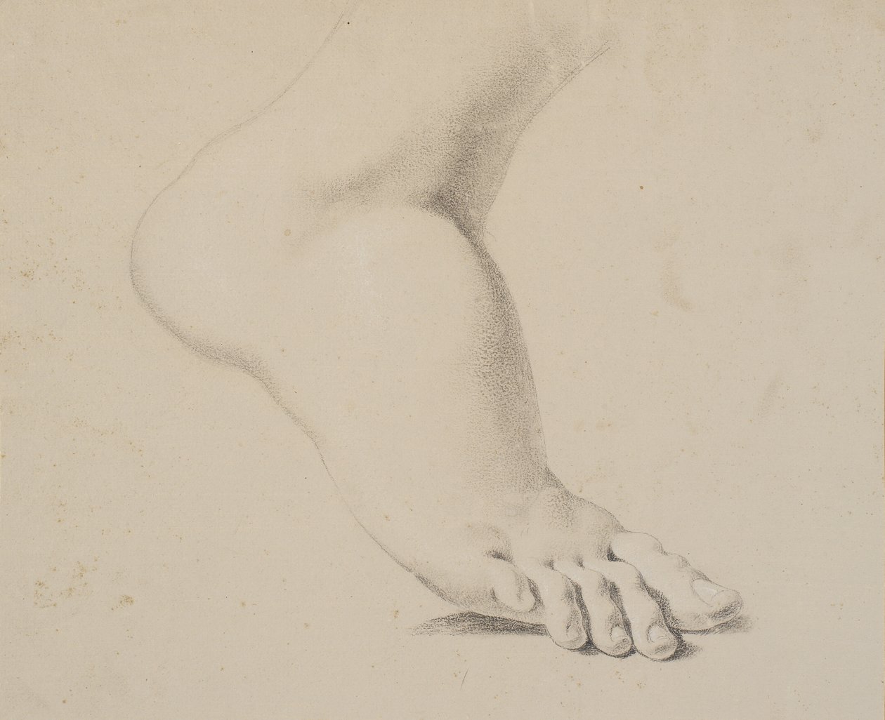 Studie af en fod af Nicolai Abildgaard