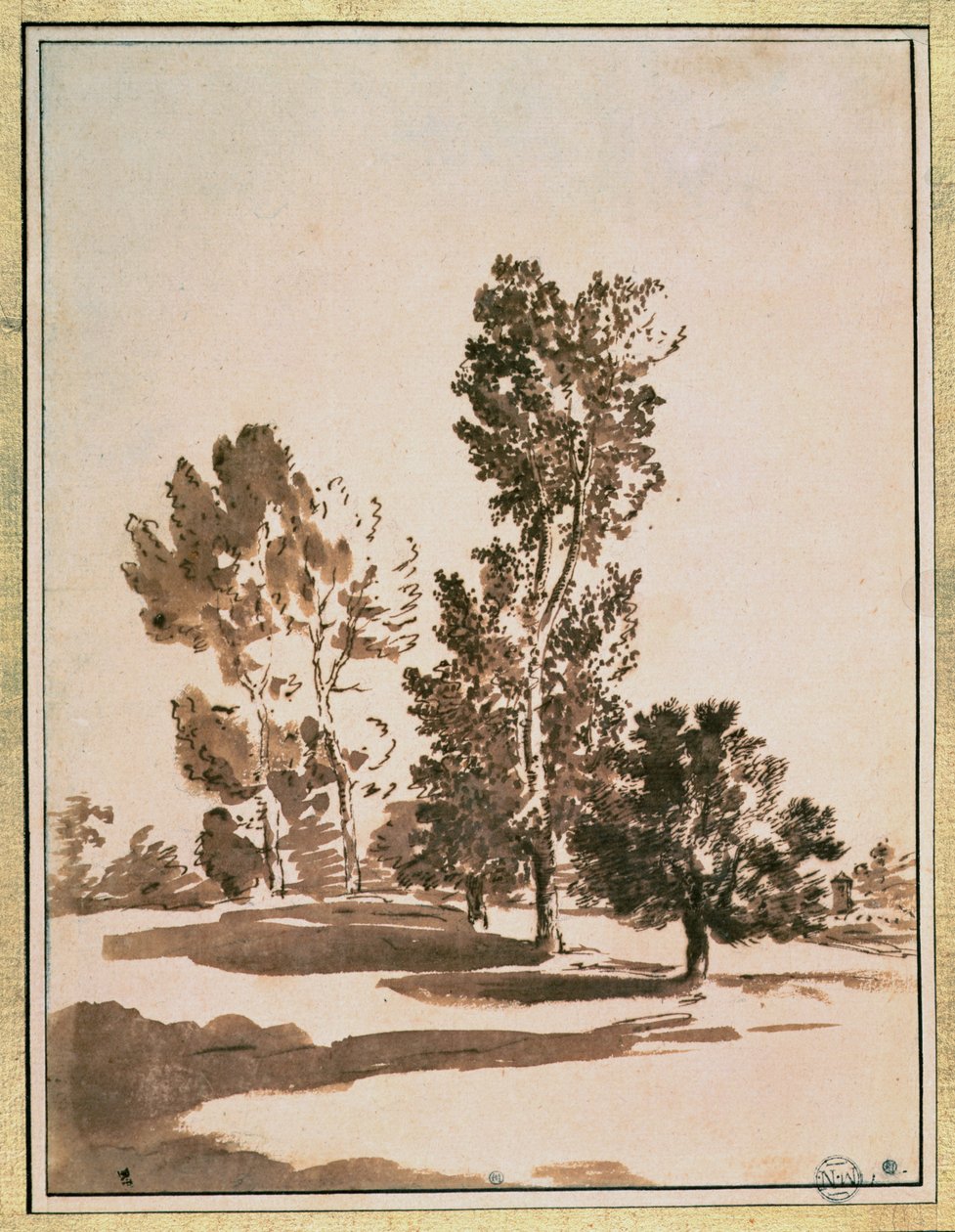 Træstudie af Nicolas Poussin