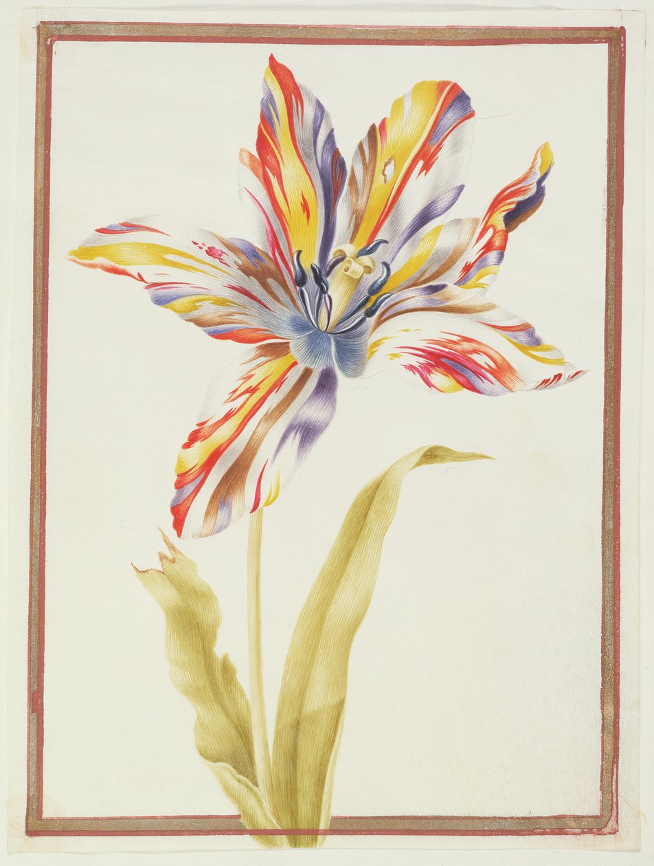 PD.109-1973.f19 En flerfarvet 