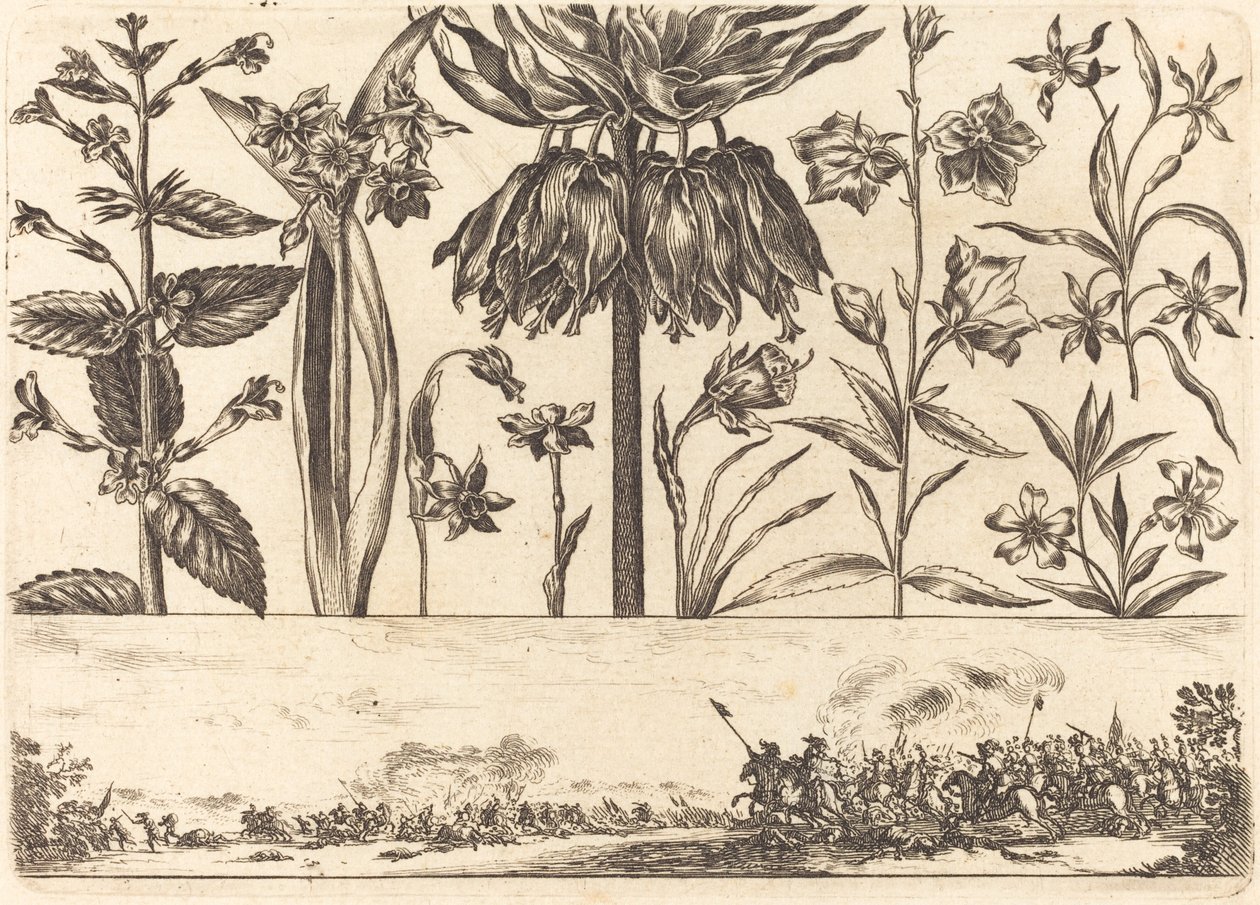 Blomstertryk nr.10 af Nicolas Cochin after Balthasar Moncornet