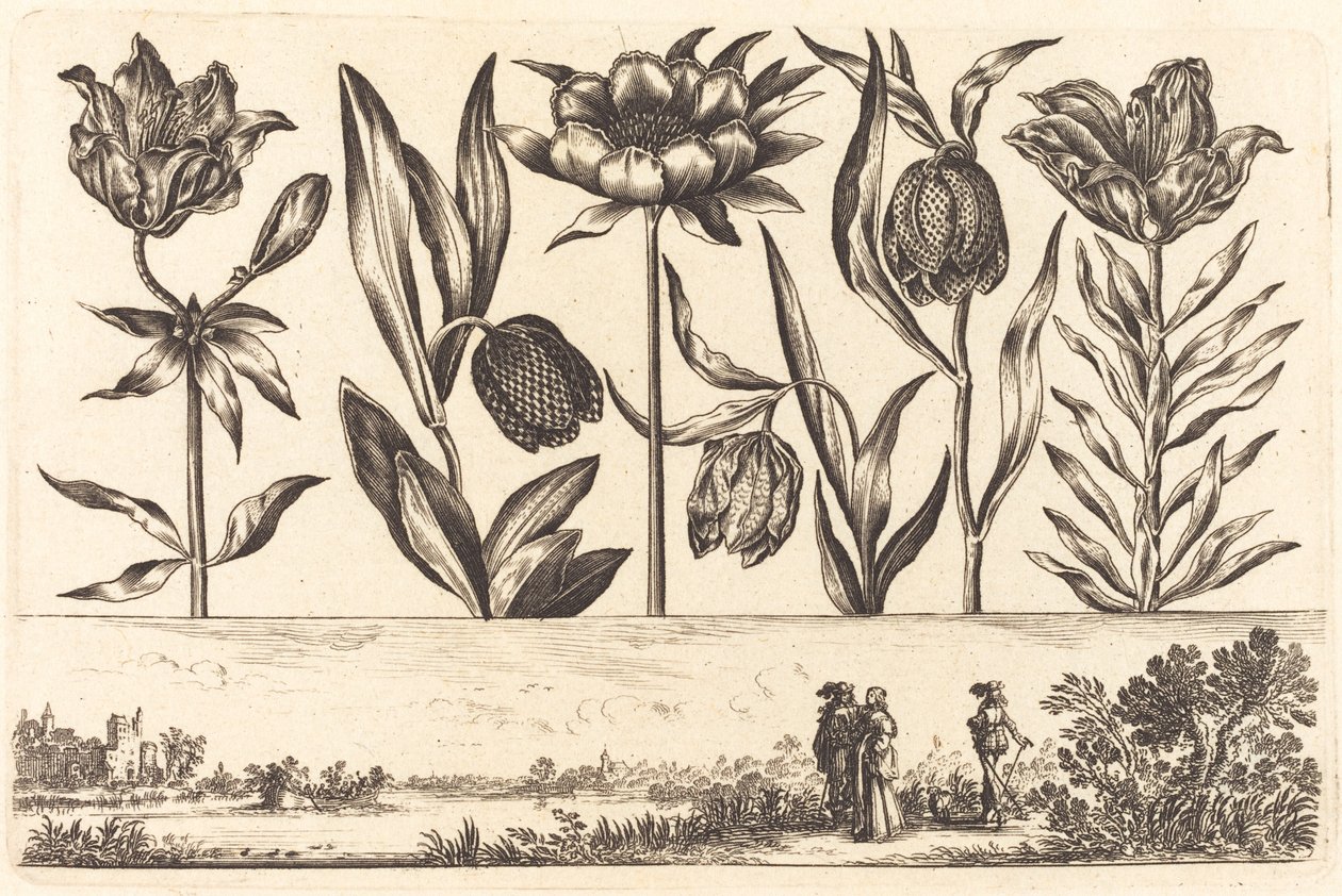 Blomstertryk nr.11 af Nicolas Cochin after Balthasar Moncornet