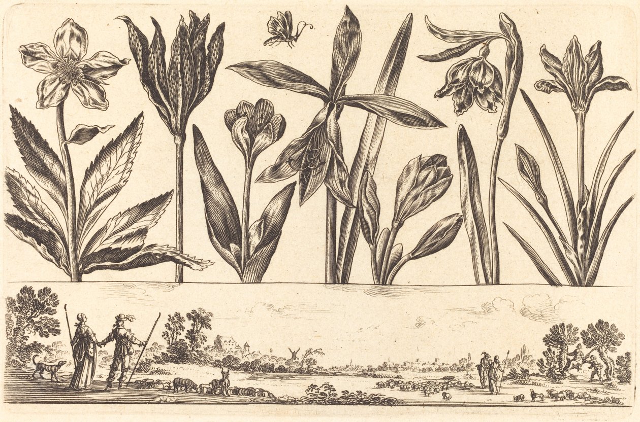 Blomstertryk nr.4 af Nicolas Cochin after Balthasar Moncornet