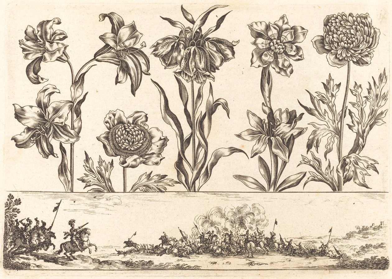 Blomstertryk nr.8 af Nicolas Cochin after Balthasar Moncornet