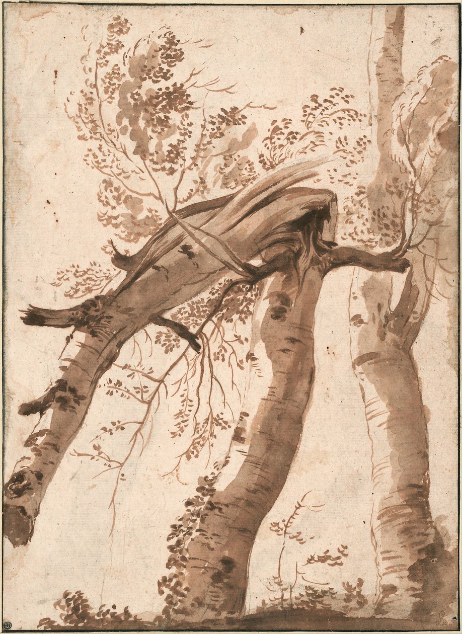 To sølvbirke, den forreste faldet, ca. 1629 af Nicolas Poussin