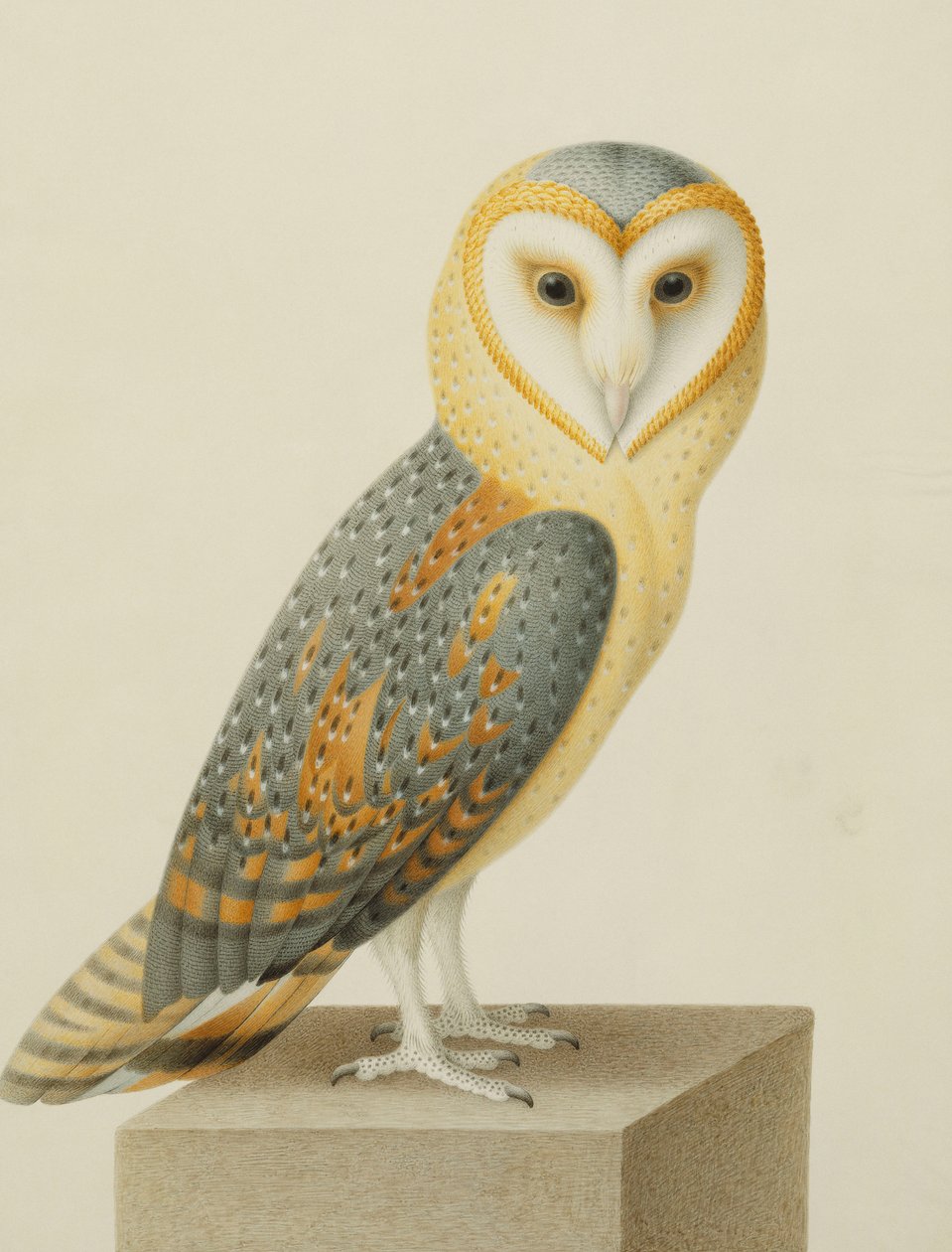 En Kirkeugle af Nicolas Robert