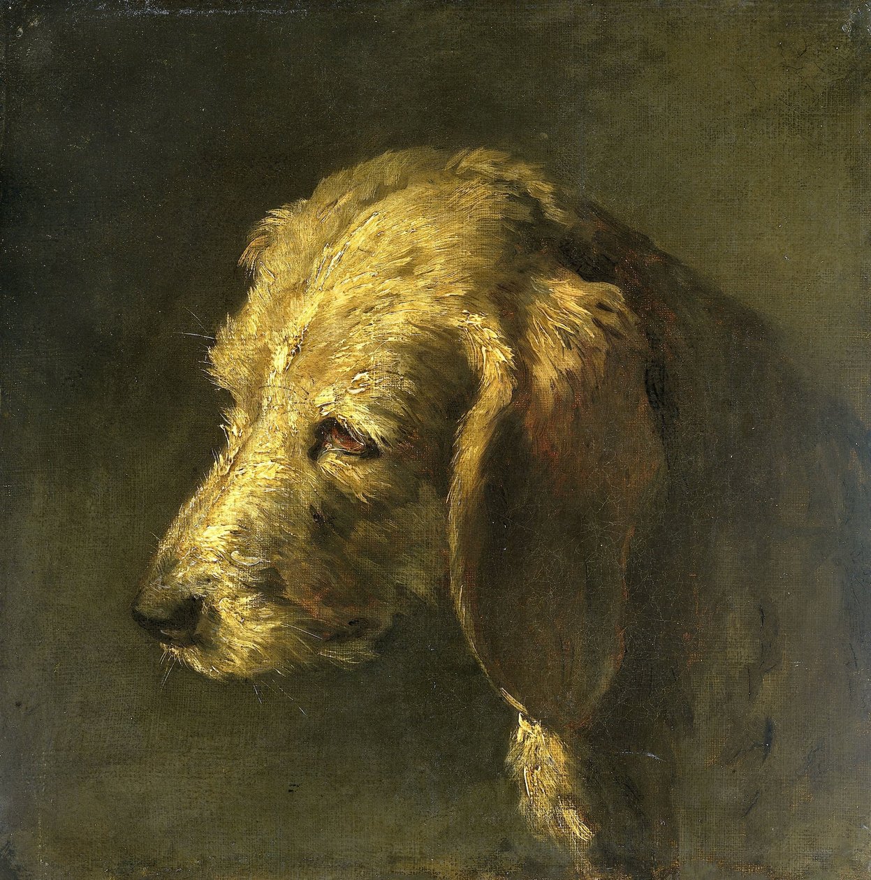 Hoved af en hund af Nicolas Toussaint Charlet (attributed to)