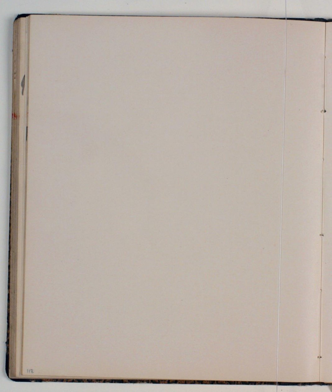 Blank af Niels Larsen Stevns