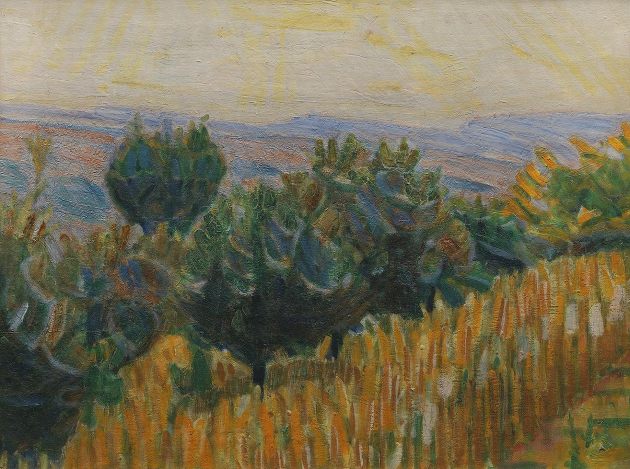 Vinstokken mod lyset. En hvedemark i forgrunden. Villa Linda, Firenze af Niels Larsen Stevns