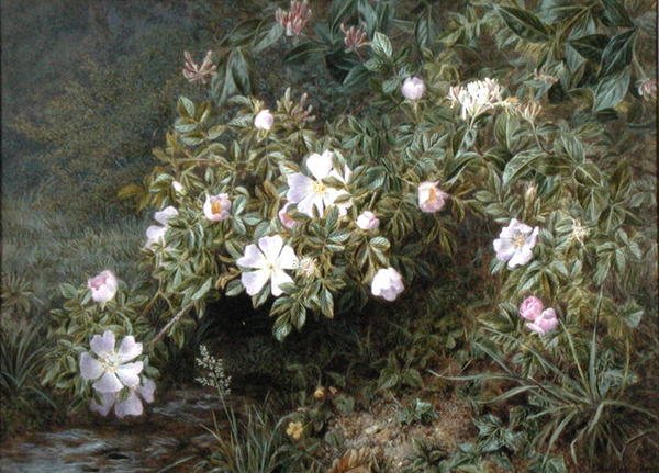 En undersøgelse af hunderoser, ca. 1900 (olie på lærred) af Niels Pieter Rasmussen
