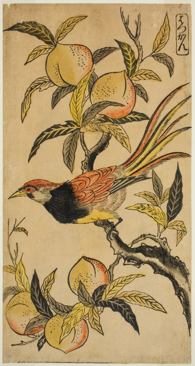 Sølvfasan (Hakkan) af Nishimura Shigenaga