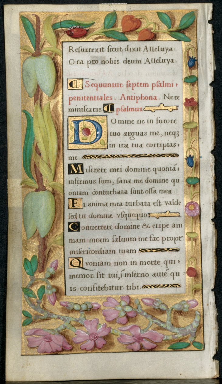 Blad fra en timebog: bodssalmer, ca. 1530-1535. af Noel Bellemare