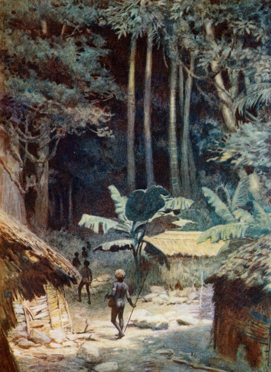 I dybet af en melanesisk skov, 1908 af Norman Hardy