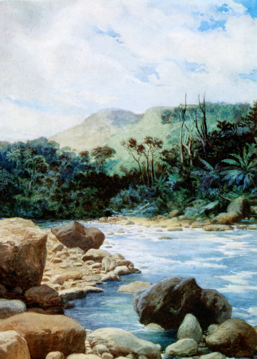 Landskab i Eromanga, New Hebrides, 1908 af Norman Hardy