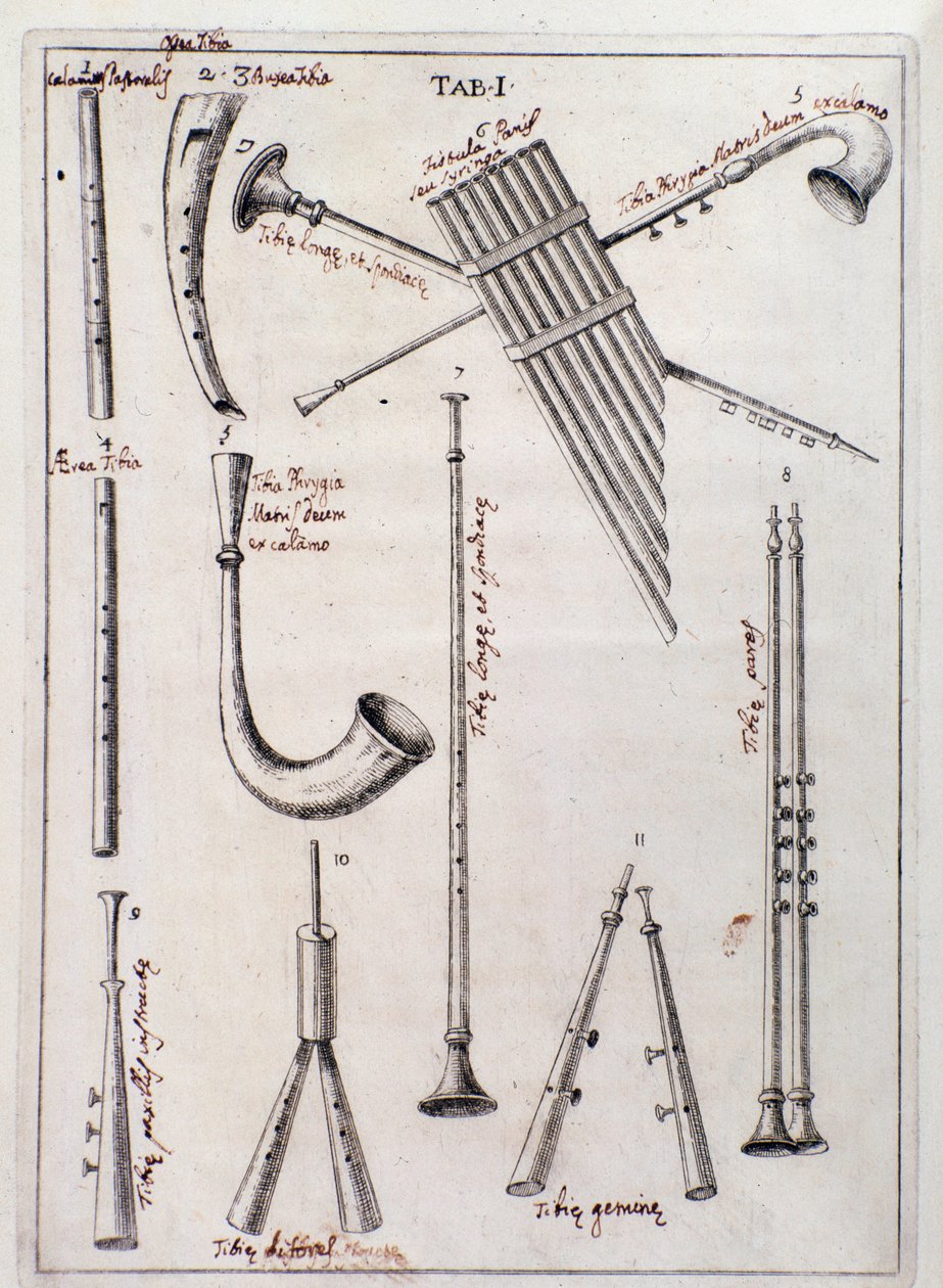 Wind instruments Page from “” de Tribus Generibus Instrumentorum Musicae Veterum ”” work about old instruments by Francesco Bianchinidani af Northern Italian School