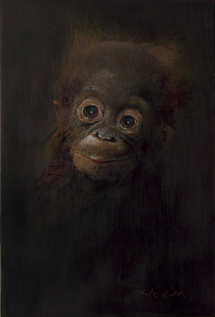 Baby orangutang 1, 2009 (akryl på træ) af Odile Kidd