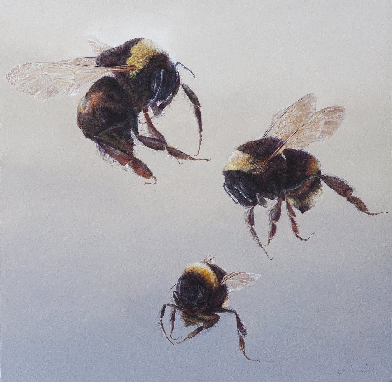 Bombus flight 1, 2011 (akryl på træ) af Odile Kidd