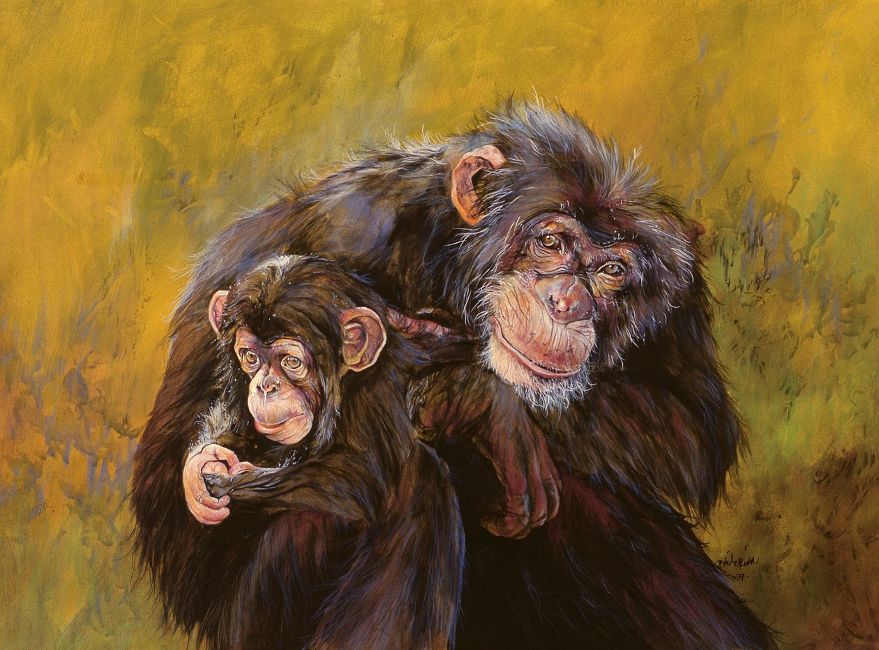 Chimpanser (akryl på lærred) af Odile Kidd
