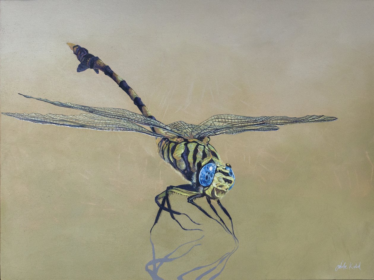 Dragon fly, 2009 (akryl på træ) af Odile Kidd