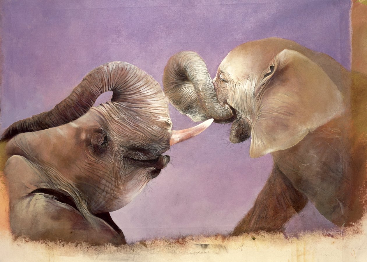 Elephants at Play, 2001 (akryl på lærred) af Odile Kidd