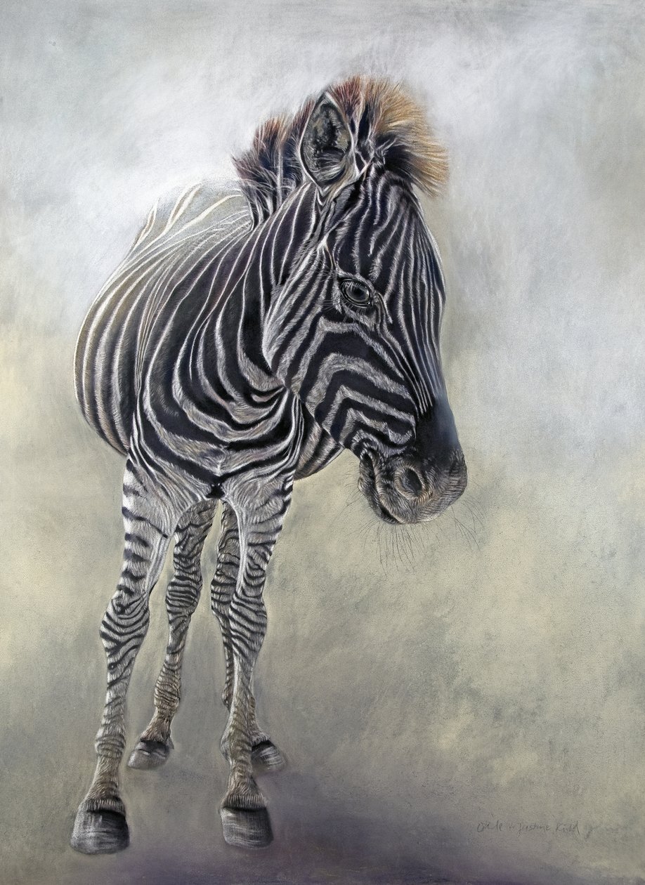 Equus burchelli 1, 2009 (kul, conte og kridtpastel på Bockingford-papir) af Odile Kidd