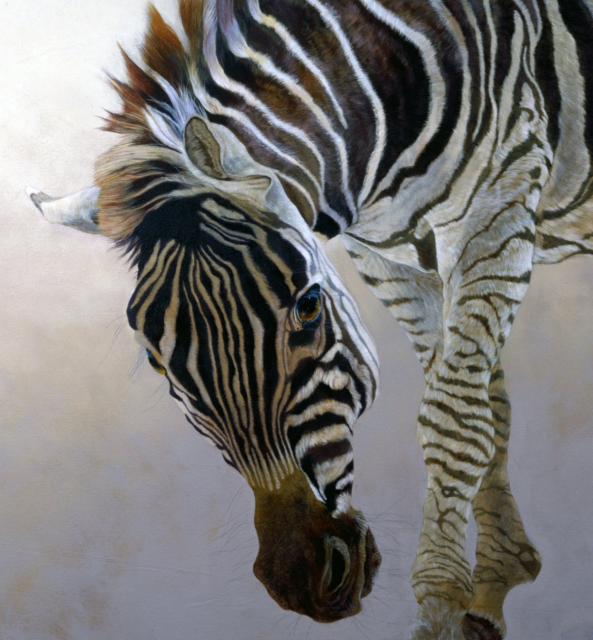 Equus burchelli 2 (detalje), 2010 (akryl på lærred) af Odile Kidd