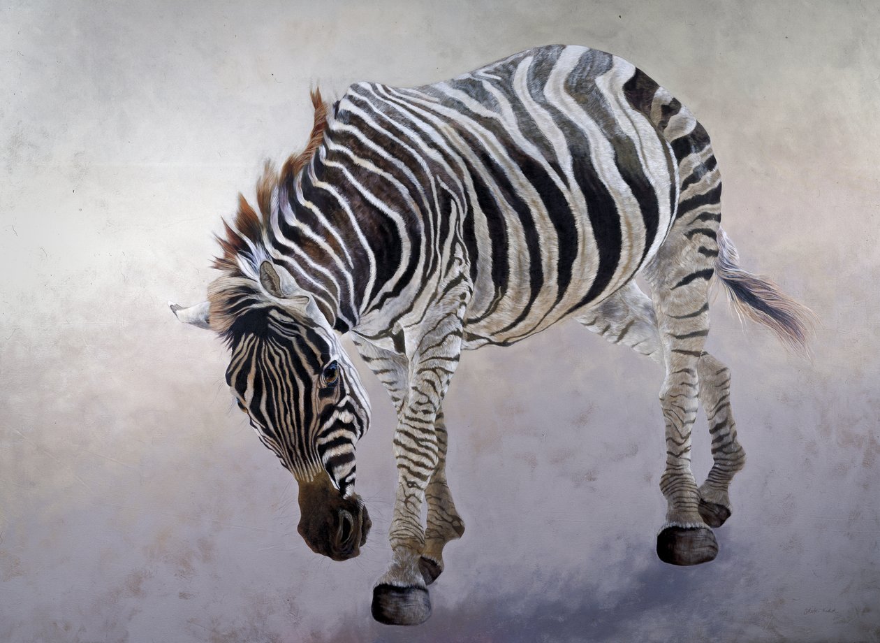 Equus burchelli 2, 2010 (akryl på lærred) af Odile Kidd