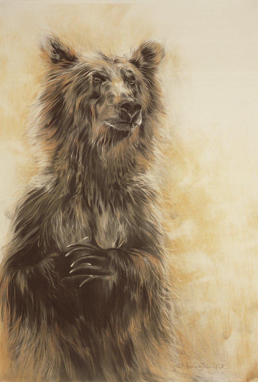 Grizzly Bear 1, 2002 (kulblyant, trækul og kridt) af Odile Kidd
