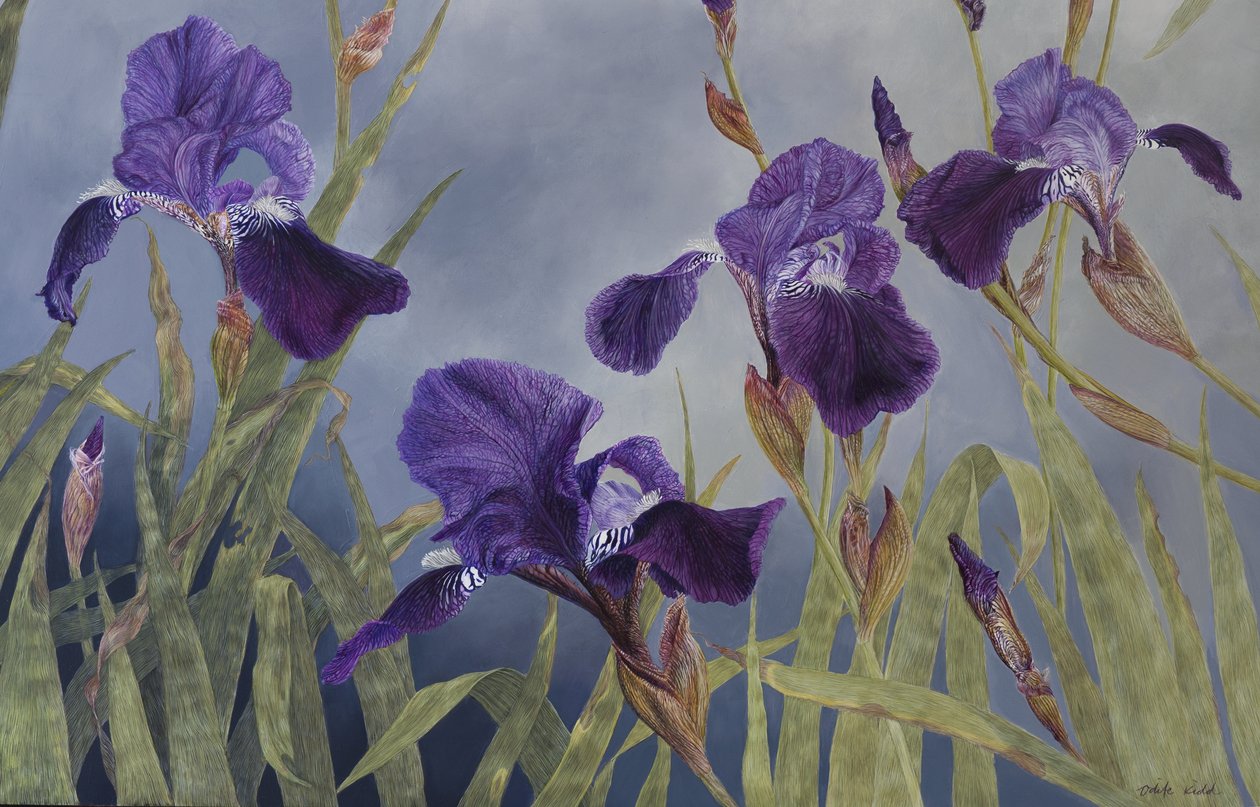 Iris hybrida (detalje), 2015 (akryl på gessobehandlet træ) af Odile Kidd