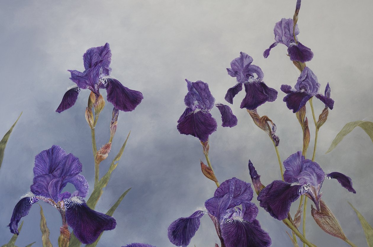 Iris hybrida (detalje), 2015 (akryl på gessobehandlet træ) af Odile Kidd