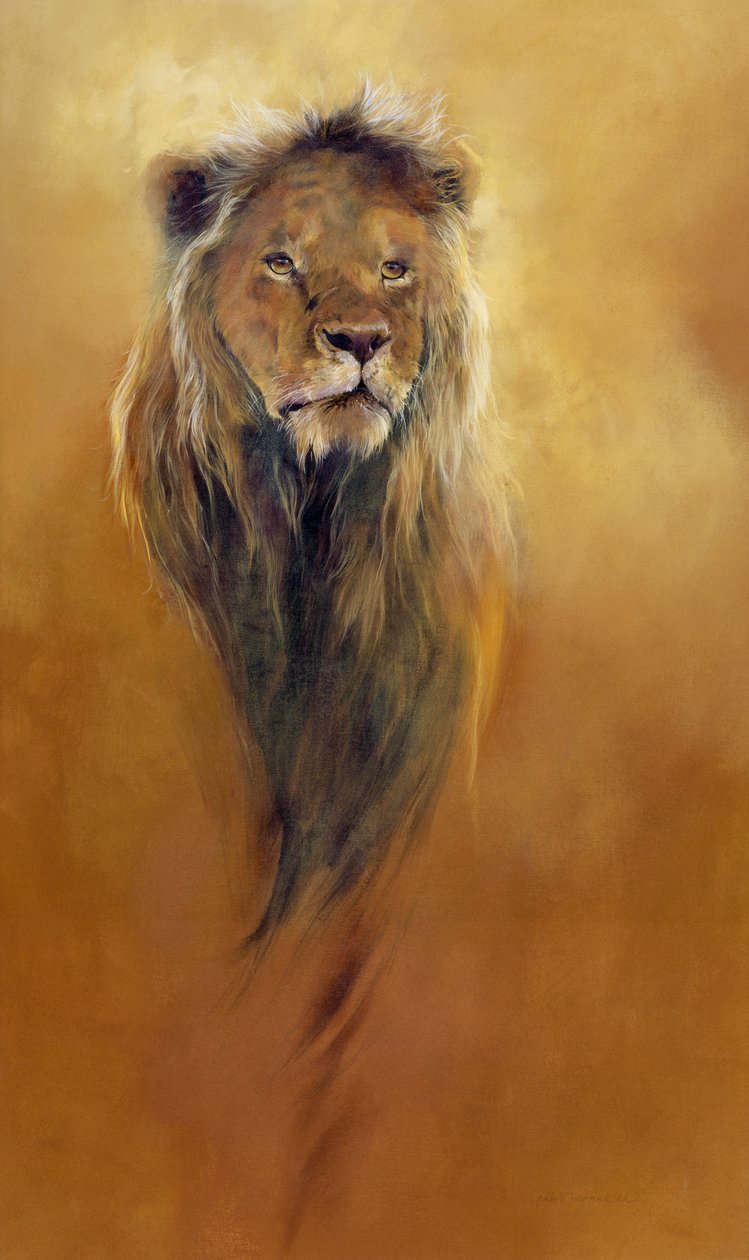 King Leo, 2000 (akryl og blyantskridt på lærred) af Odile Kidd