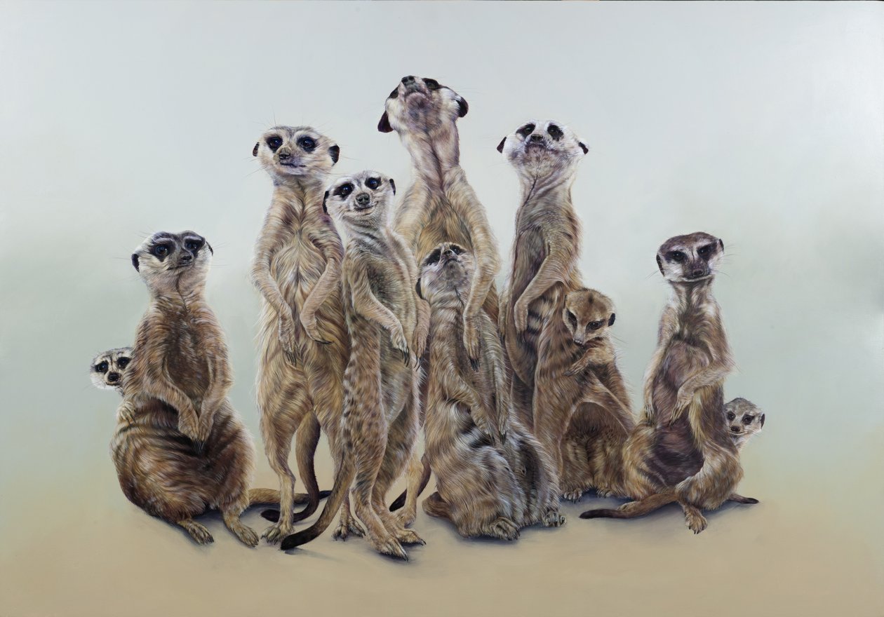 Meerkat mob, sun angels, 2013 (akryl på gessobehandlet træ) af Odile Kidd