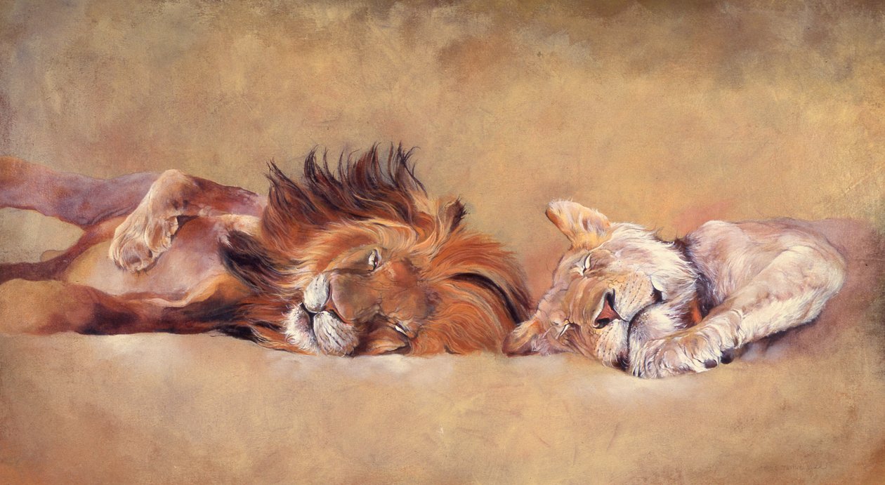 Siesta af Odile Kidd