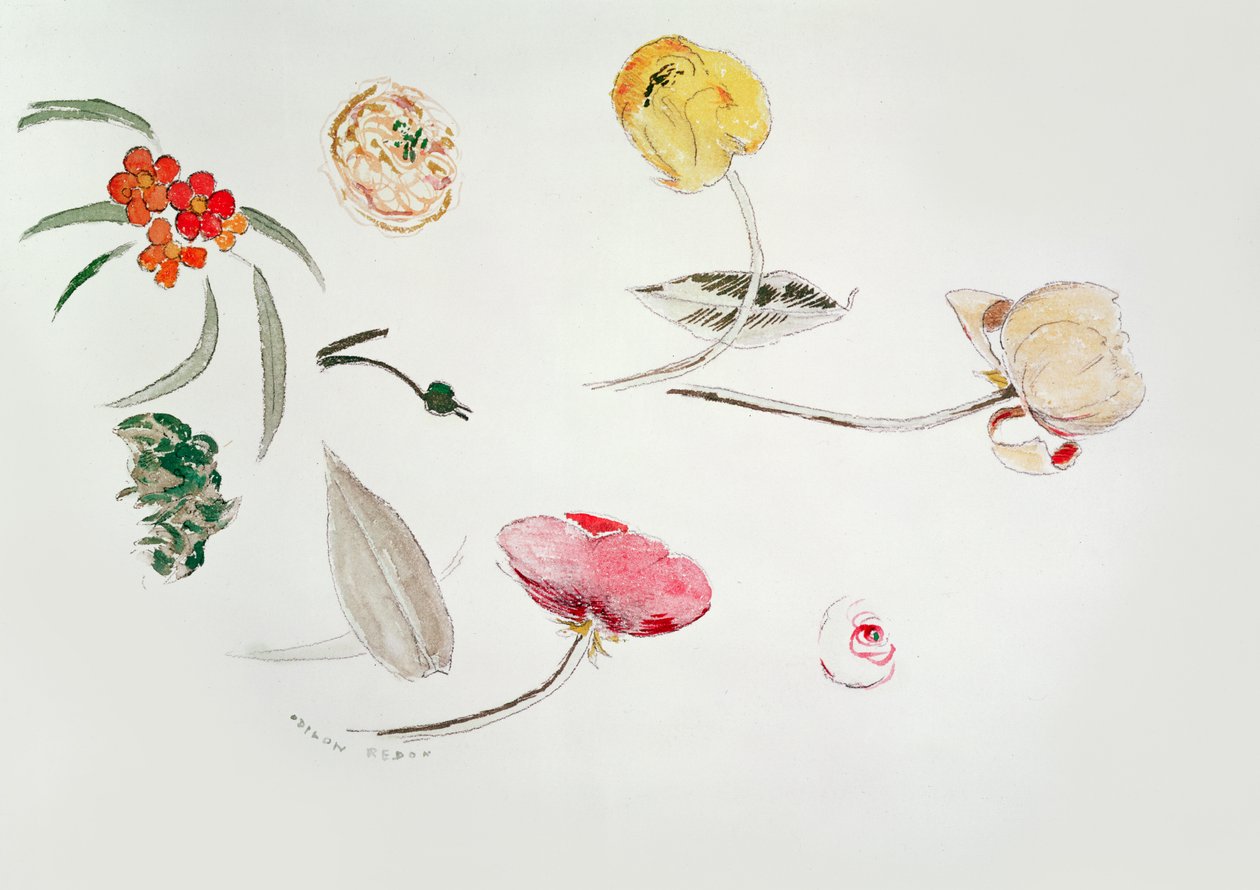 Blomsterstudie af Odilon Redon