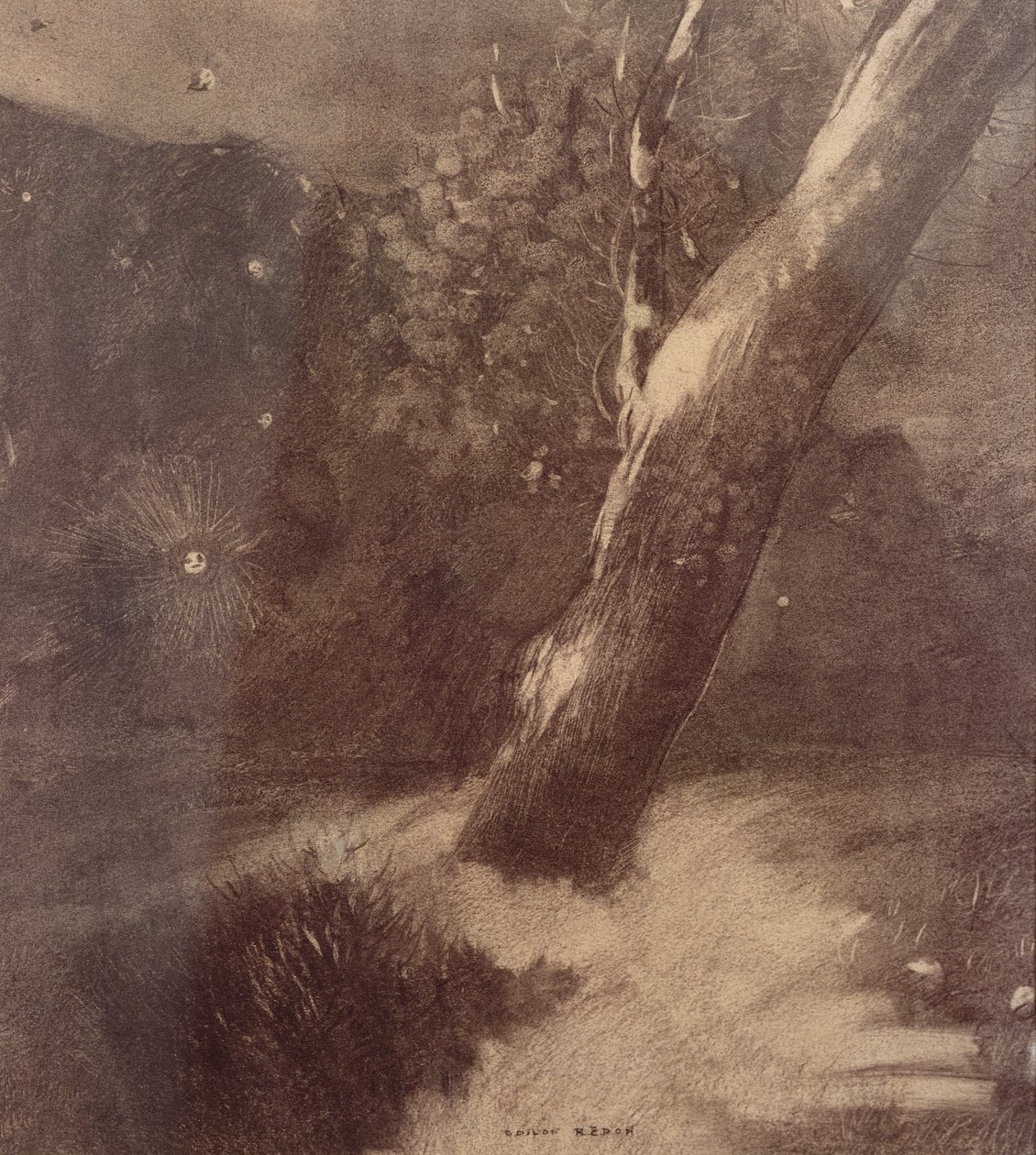 Træ og stjerner (kul) af Odilon Redon