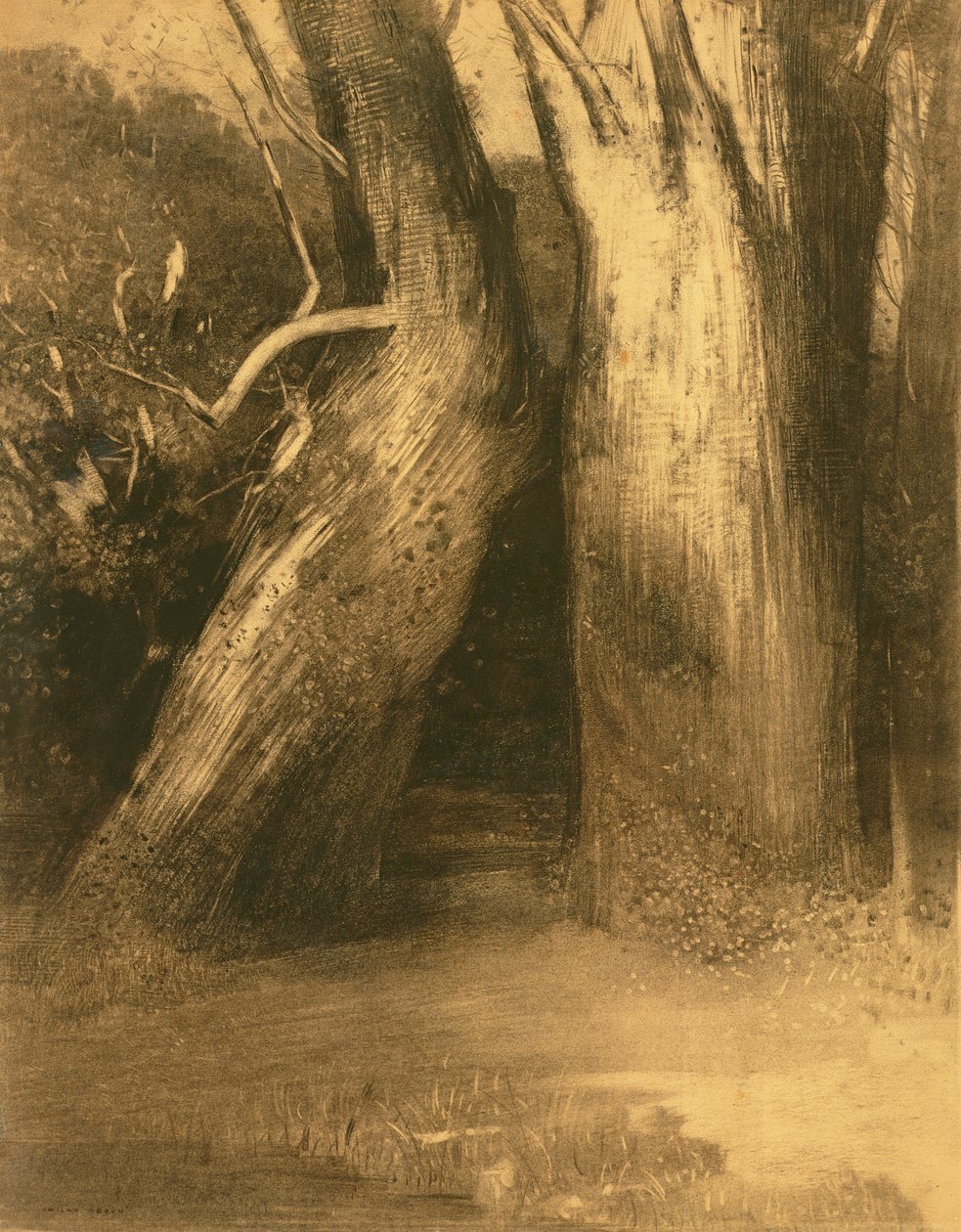 To træer, ca. 1875 (kul på papir) af Odilon Redon
