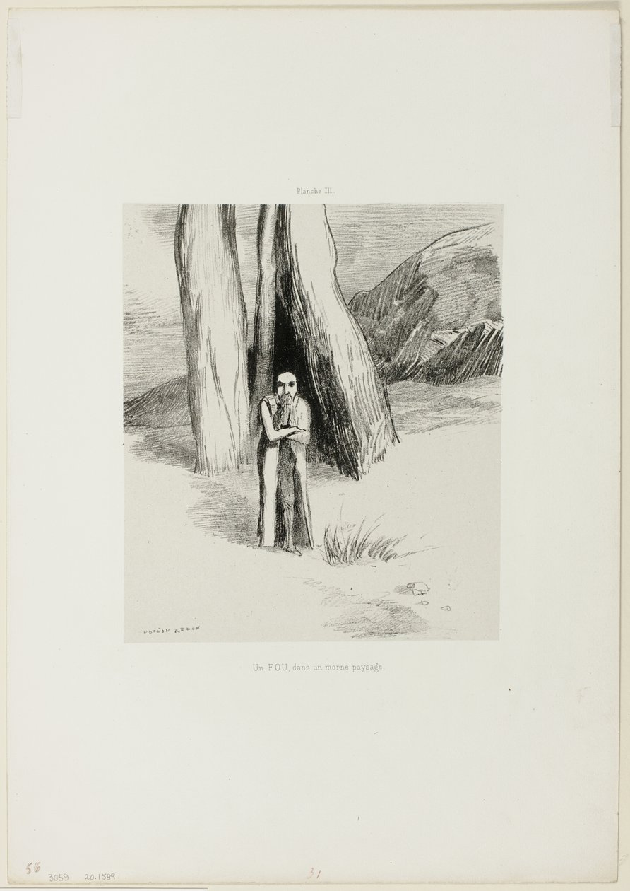 En galning i et trist landskab, plade 3 af 6 af Odilon Redon