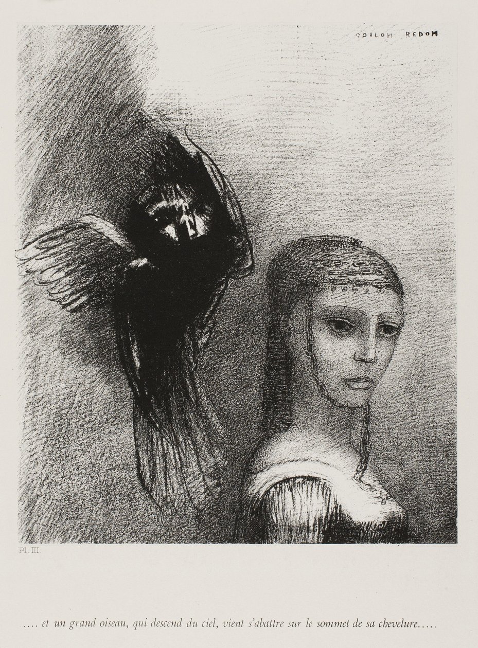 Og en stor fugl, der stiger ned fra himlen, kaster sig selv mod det øverste punkt af hendes hår, plade 3 af 10, 1888 af Odilon Redon