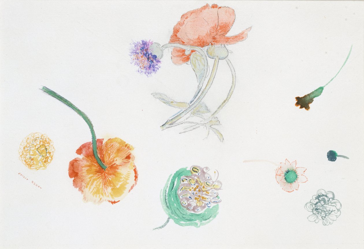 Blomsterskitse af Odilon Redon