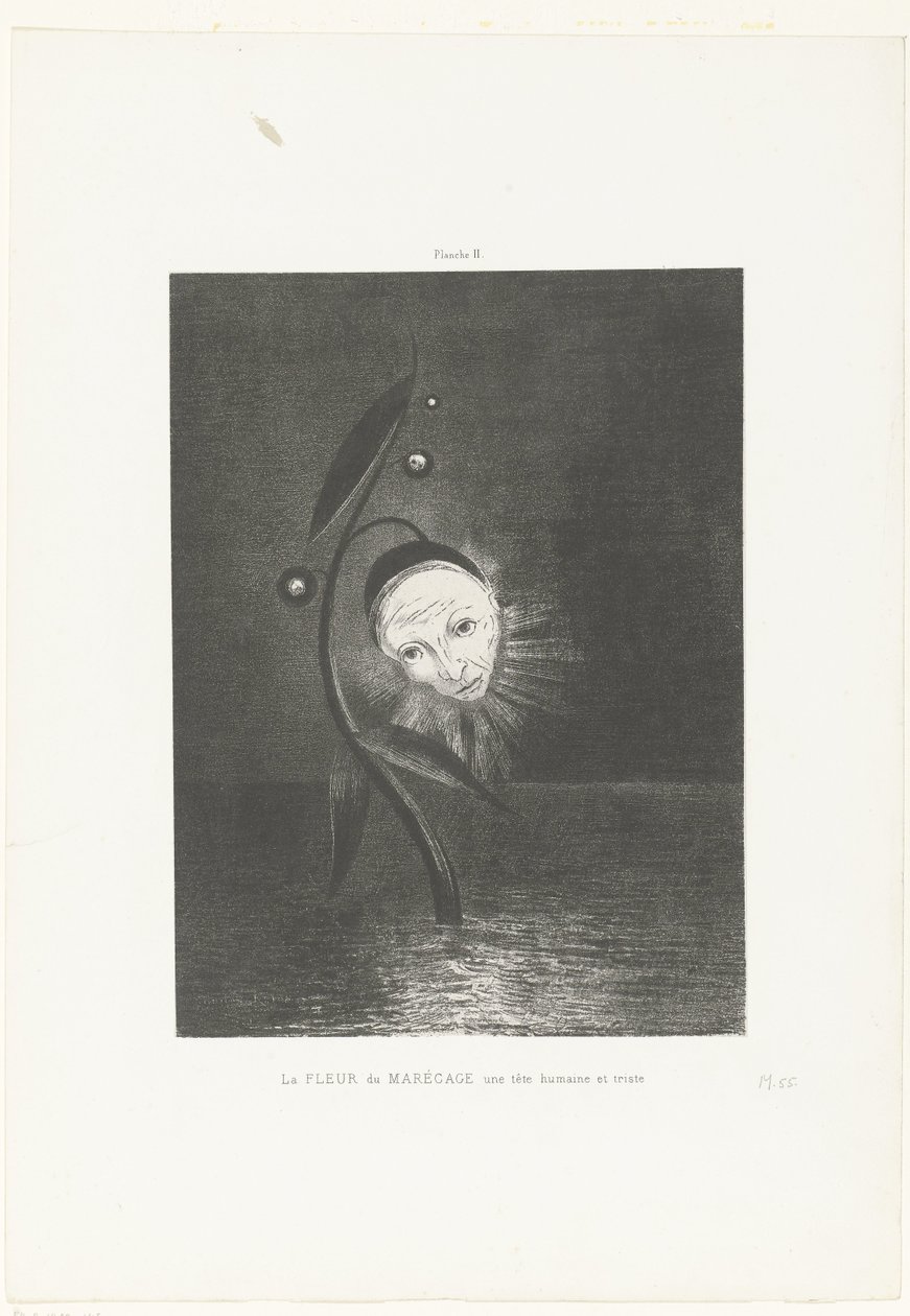 Sumpblomsten, et menneskeligt og trist hoved La FLEUR du MARÉCAGE une tête humaine et triste (titel på objektet) af Odilon Redon