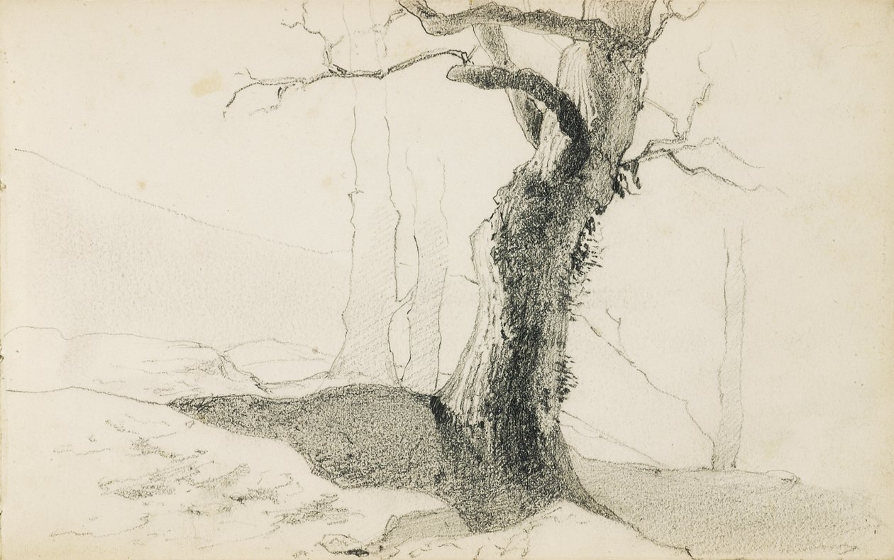 Tegning fra et album med titlen "Baskerlandet", 1862-63 af Odilon Redon