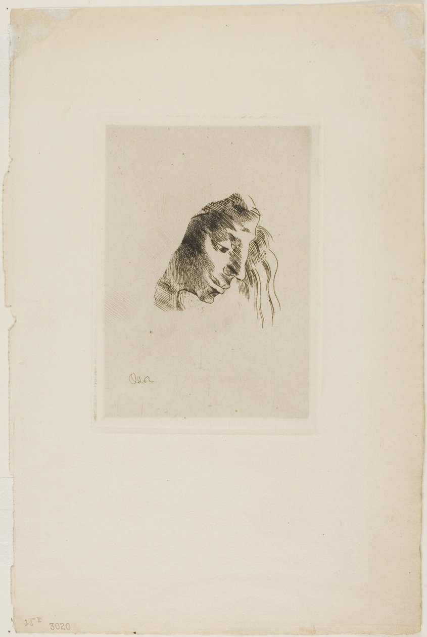 Fra bøger af Odilon Redon