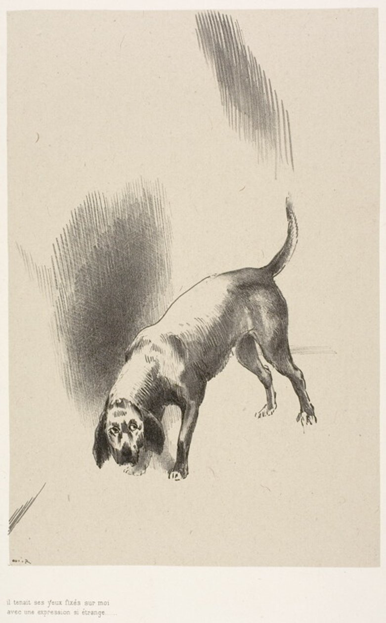 Han [fortællerens hund] holdt øjnene rettet mod mig med et så mærkeligt blik, plade 3 af 6 af Odilon Redon