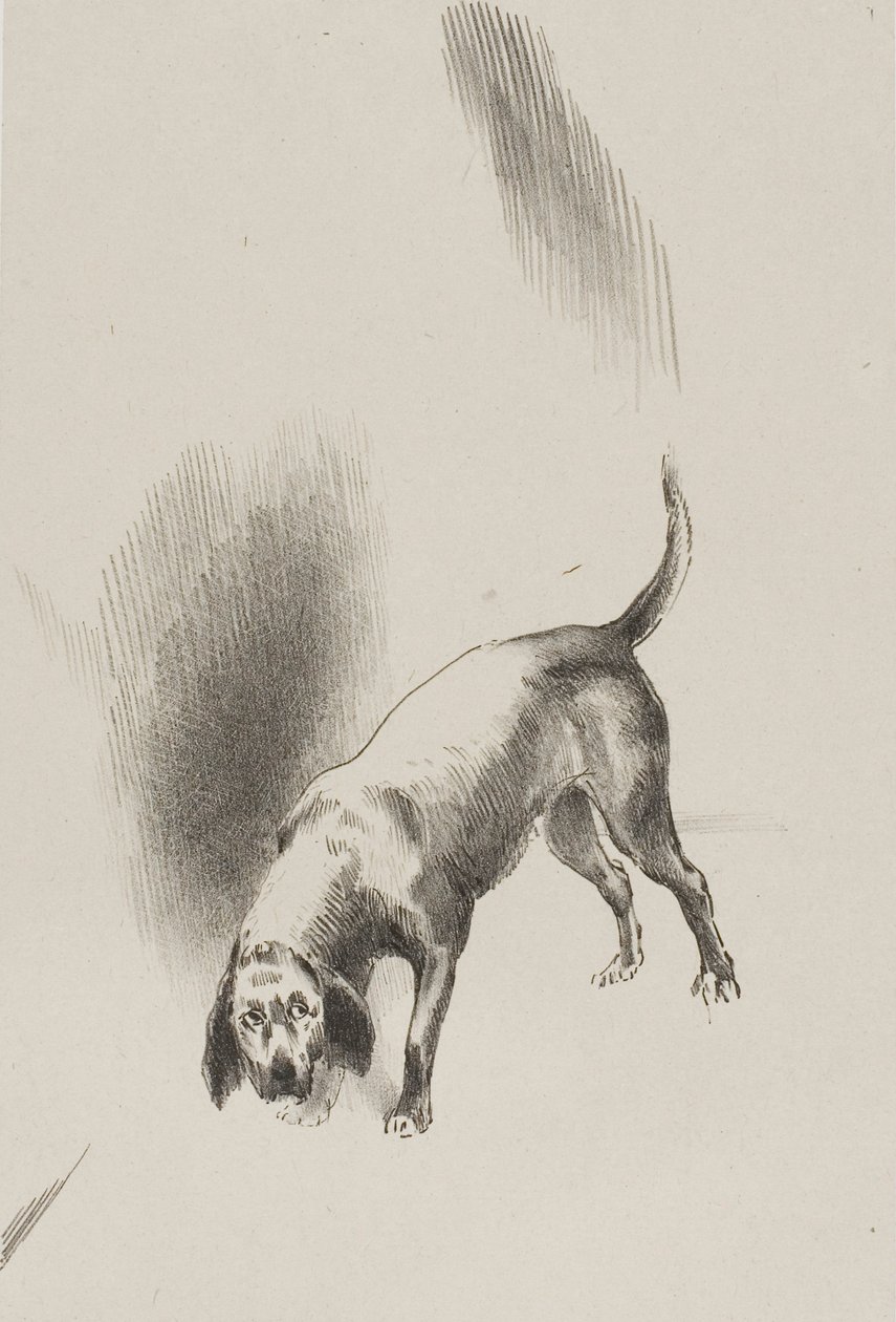 Han [fortællerens hund] holdt øjnene rettet mod mig med et så mærkeligt blik, plade 3 af 6 af Odilon Redon