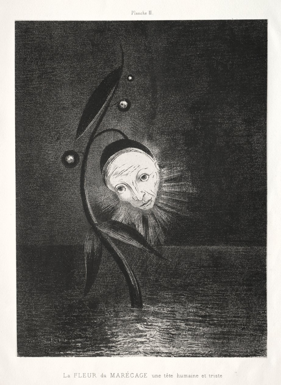 Hyldest til Goya: Marsh Flower, a Sad Human Head, 1885. af Odilon Redon