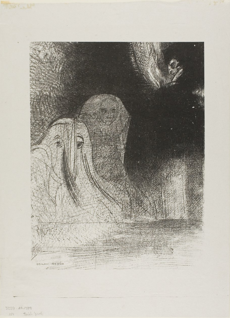 Jeg har nogle gange set på himlen, hvad der virkede som former for spiritus, plade 21 af 24 af Odilon Redon