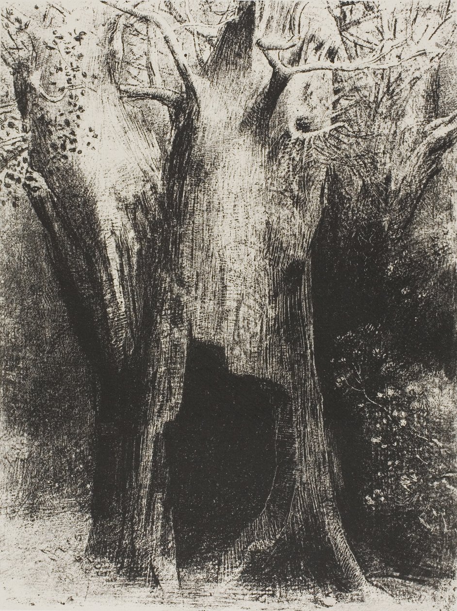 Jeg kastede mig ud i ensomhed. I Dwelt in the Tree behind Me, plade 9 af 24 af Odilon Redon