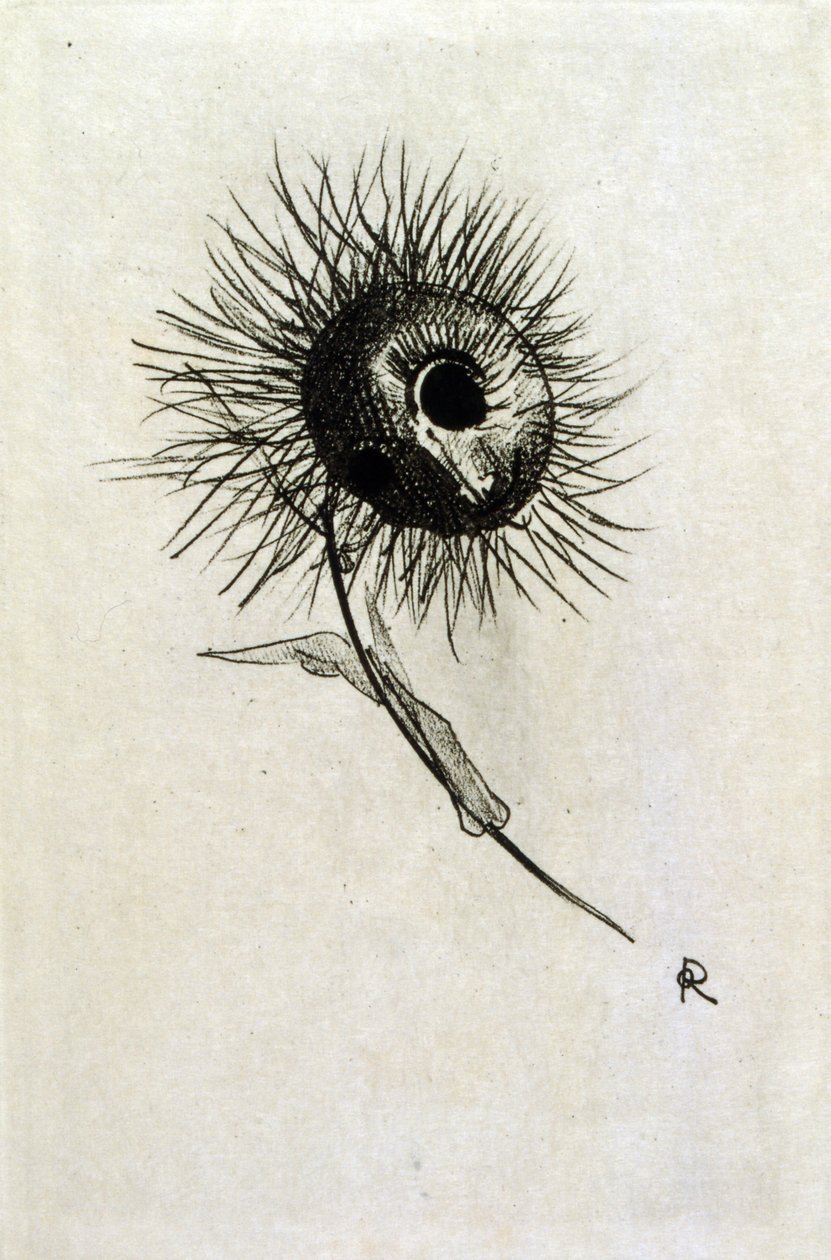 Illustration til 