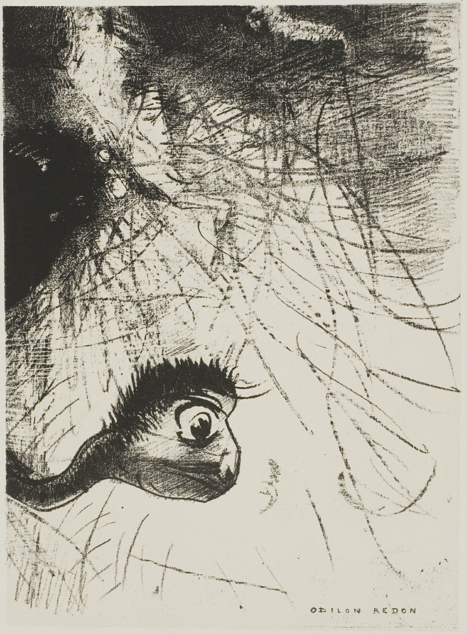 Saint Anthony: "Et eller andet sted må der være urformer, hvis kroppe kun er billeder, plade 4 af 6 af Odilon Redon
