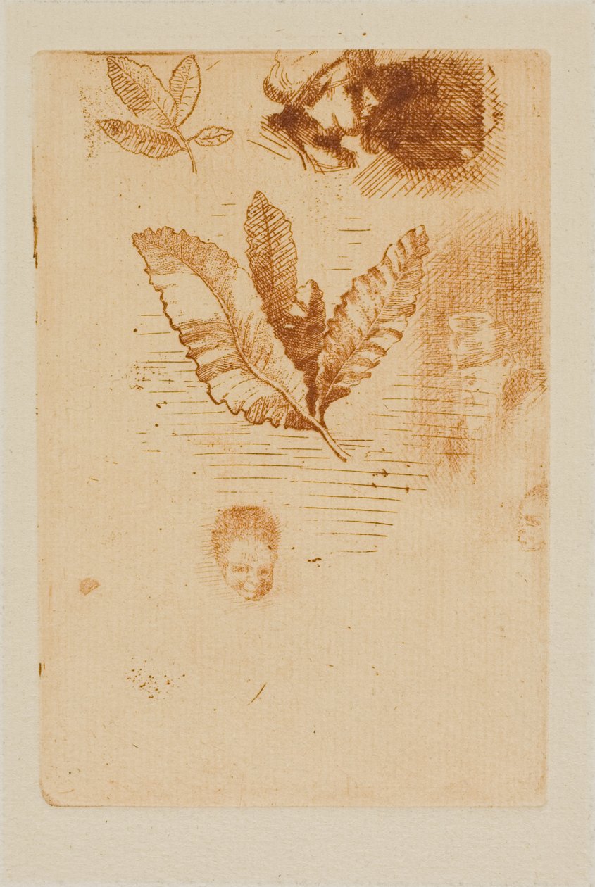 Skitser af Odilon Redon